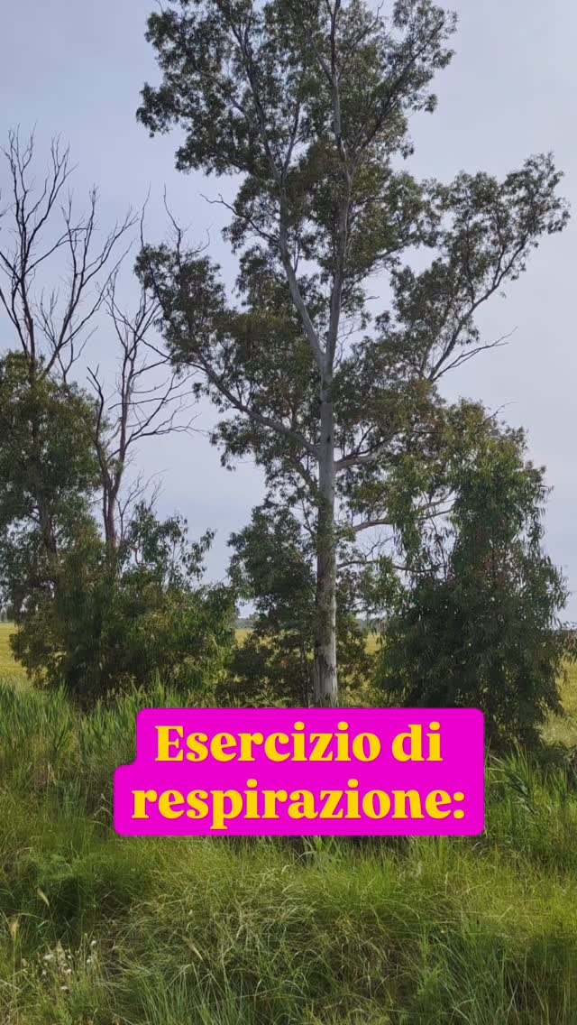A volte pensiamo che il benessere sia qualcosa di complicato da raggiungere.
Poi basta rallentare un attimo, respirare aria aperta e riconnettersi con gli animali per ricordarsi quanto faccia bene sentirsi presenti. 🌿🐴
Ci sono momenti semplici che riescono a rimettere ordine dentro più di tante parole. 💛
✨ Se anche tu senti il bisogno di ritrovare equilibrio e presenza, scrivimi.
#benessereolistico #mindfulnessitalia #consapevolezza #felicitàconsapevole #armoniainteriore
