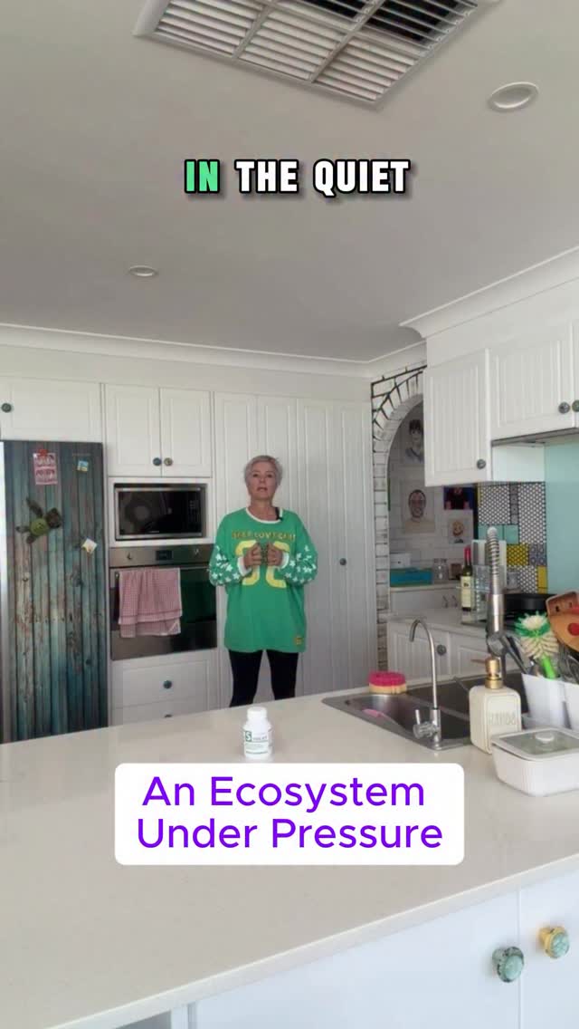 Let’s dive into the bizarre ecosystem of household containers, where bases multiply, lids vanish without explanation, and survival depends on luck, timing, and whether anyone else has been in the cupboard. If you’ve ever opened the drawer and felt personally offended by plastic chaos, you’re not alone. This is a very scientific look at the mysterious imbalance of food containers, the daily frustration of trying to match them, and the quiet acceptance that some will never be seen again. A relatable, funny take on domestic life, mental load, and the small things that somehow become the final straw.