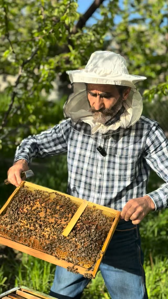 After being forcibly displaced from Artsakh, Ardzvig Lalayan, a veteran of three wars, is rebuilding his livelihood through beekeeping.
Through Lorik Humanitarian Fund’s Small Business Development Program, we awarded a grant of approximately $6,500 to help expand his operation.
The support will help him acquire:
• More than 20 new beehives
• Essential tools and equipment
• Renovations to the space where honey will be processed and stored
Our goal is not only emergency aid, but helping displaced families rebuild long-term stability and independence.
This is one of the first grants awarded through our newly launched business development initiative — and we hope to support many more families in the months ahead.
If you would like to help us continue funding projects like this, your support makes that possible.
Www.LorikHF.org
#artsakh #armenia