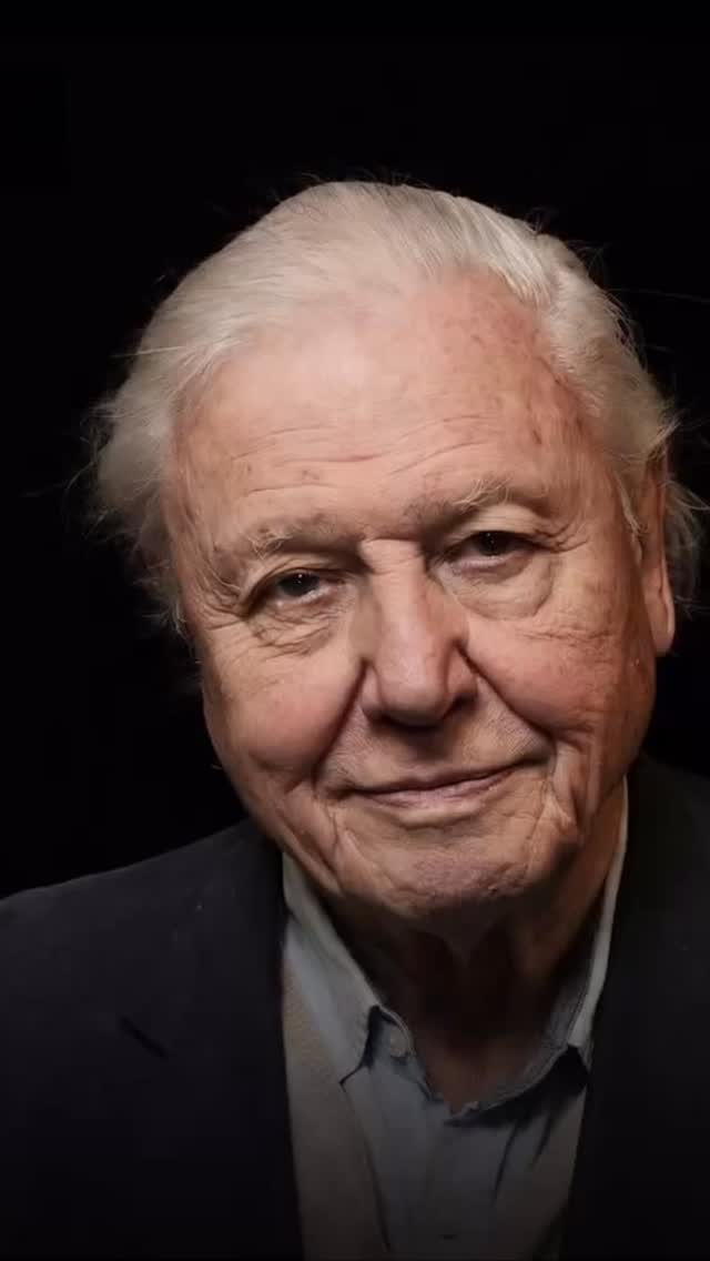 A warm heartfelt Happy 100th birthday wishes to Sir David. Thank-you for all your brave, caring and hardworking contributions to our planet and all our wildlife. You have inspired every one of our Forest Staff with your documentaries and stories which give us the insight and passion to pass this on to our outdoor learning children, families and our community. You really are an inspiration legend! #woodlandtrust #forestschool #planetearth #wwf #education This week we all celebrated and the children created a mud cake and collected 100 stick candles in your honour 👨⚖️