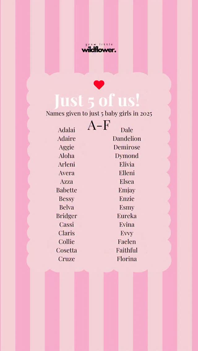 JUST 5 BABY GIRLS in 2025 were given these names!!
🩷🩷🩷
I’m going through the alphabet to share some of the least used names from the most recent name data released from the SSA in 2025. It takes us right back to names used just 5x and I don’t know about you but these are the names I am most intrigued by!!!
LOVED seeing Dandelion 🥹 also intrigued by Faithful and Bridger!! Bessy, Aggie and Cosetta are so sweet 🥲
Let’s start with the girls - A-F ❤️🔥
#growlittlewildflower