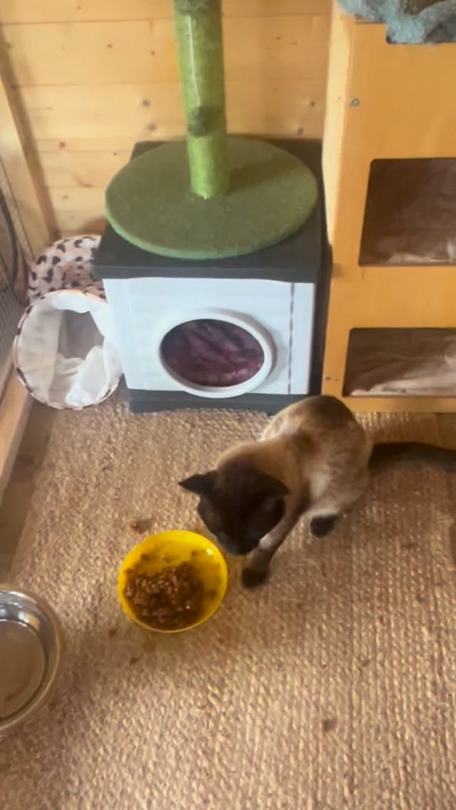Ik geloof dat we al een beetje vriendjes zijn 🐾😊