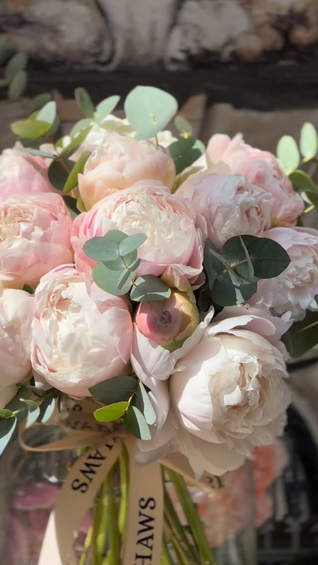 BE DELUSIONAL 🌸
- oh and our favourite season is here….
PEAONY SEASON!