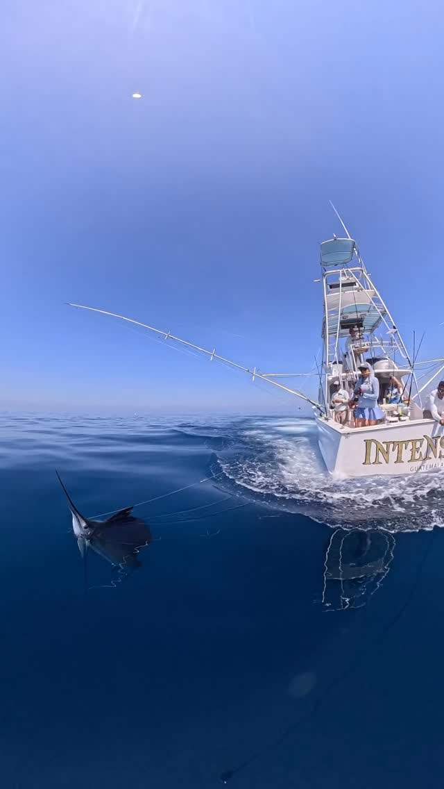 @laceyloo561 highlights. Fish w/ INTENSITY!!!