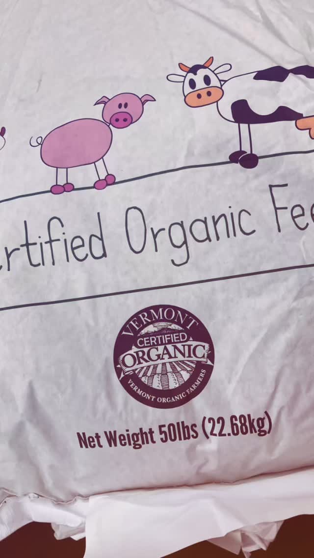 DID YOU KNOW?!?! All of our birds eat organic EVERY DAY!! We have organic pastures full of fresh green grass and organic grain milled right here in Vermont! We aren’t certified organic but everything we put into these birds is. We Are! #certifiednaturallygrown and proud of it!! We’re happy to be doing the weird stuff, keeping it organic and raising these little weirdos in the best way we know how! GO DO SOMETHING WEIRD! Preferably a delicious dish. Then come by the @norwich.farmers.market to tell us all about it! #gobeweird #pasturedpoultry #lovethislife