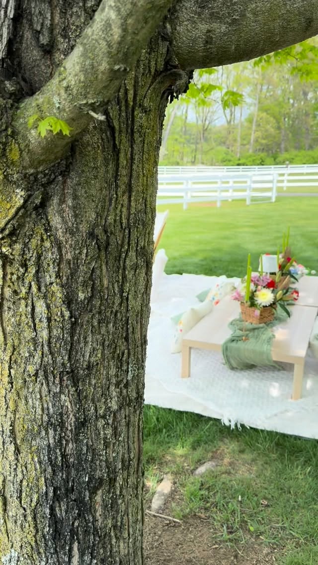 Picnic with Alpacas, please!
Picnic + lounge setup
#luxurypicnic #picnicaesthetic #tablesetting #njeventplanner