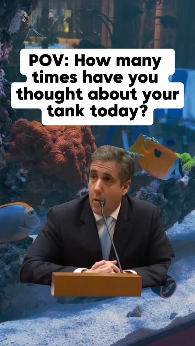 Once you get into aquariums, there’s no going back. 🐠
Need supplies, fish, coral, plants, equipment, or just an excuse to look at more tanks? We’ve got pretty much everything you could think of for your aquarium. We also offer professional aquarium service and maintenance!
Open Today 11–6
https://www.undertheseanc.com/retail-store
#aquariumhobby #fishtank plantedtank #reeftank #aquarium