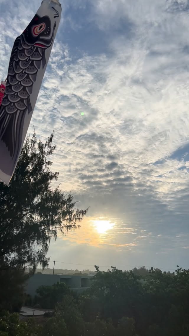 毎朝いろん