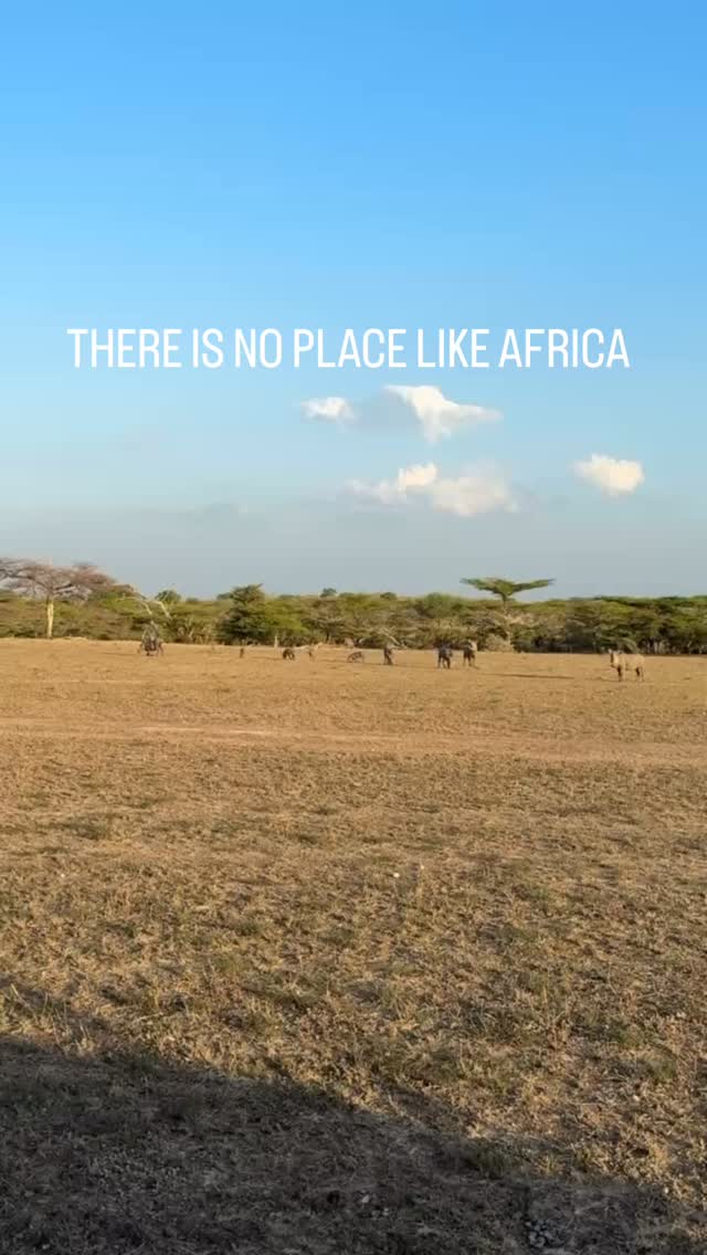 There is no place on earth quite like Africa.
Untamed wilderness, golden sunsets, and moments that stay forever.
Plan your Tanzania Safari today and discover the magic of Nyerere National Park with Wanyamapori Porini Camp.
Special offers are waiting for you!
#nyererenationalpark #visittanzania #wildafrica