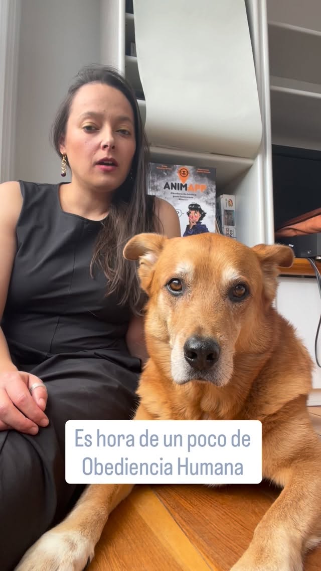 🇨🇴 Si tu perro pudiera hablar, te diría que leas esto.
Mi nombre es Astro y soy un Pastor Colombiano con una misión: ayudar a otros perros a manejar a sus humanos.
Y mi humana es entrenadora profesional de cachorros
Por eso, escribimos un cómic (¡en inglés y español!)
Después de presentarlo en el London Book Fair y en FIBO, ¡ya está disponible para ustedes!
🇬🇧 If your dog could talk, they’d tell you to read this.
My name is Astro, and I’m a Colombian Shepherd with a mission: help other dogs manage their humans.
Ans my human is a professional puppy trainer…
So, we wrote a comic book (in English & Spanish!)
After showing it at the London Book Fair and FILBO, it’s finally here!
🔗Link in bio 🔗
#PuppyTrainingTips #ComicBook #EntrenamientoCanino