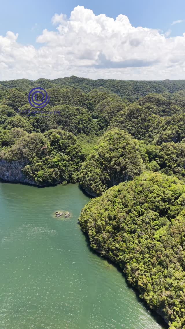 Welcome on board El Andiamo for a visit inside Los Haitises.
🌴🌎🛥️🇩🇴 Let the show begin @puertobahia the most beautiful Marina in DR, enjoy an unique view over the bay and the quietness of the place. Embark on our exclusive boat and get ready for the sensational national park Los Haitises, where the rainforest meets the bay.
Book now your unique Inside haitises Tour.
#samana #Haitises #Andiamo #luxuryholidays #marina