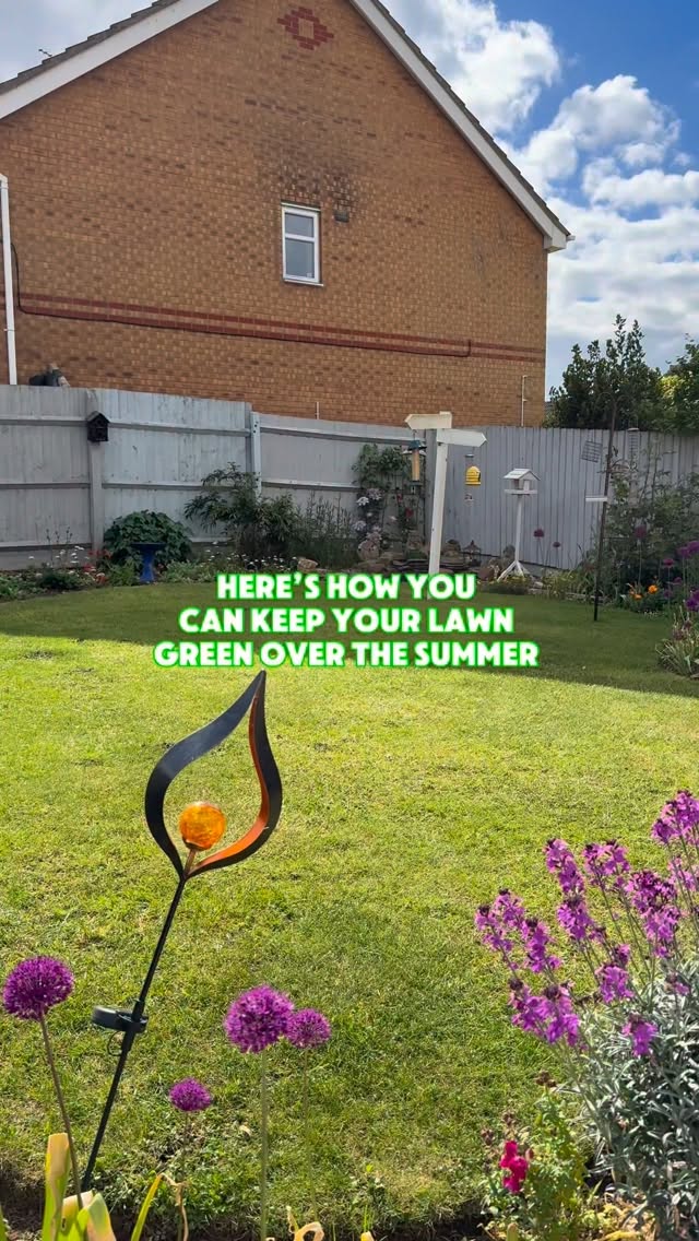 How to keep a lush lawn coming into the summer ⬇️
The big one… mowing regularly, one two or even three times a week if your grass is growing quickly. This will help avoid scalping and establish stronger root growth.
Secondly, apply the one shot wonder every month to keep the lawn hydrated and avoid stress.
lawn care || lawn |gardening | garden | green grass