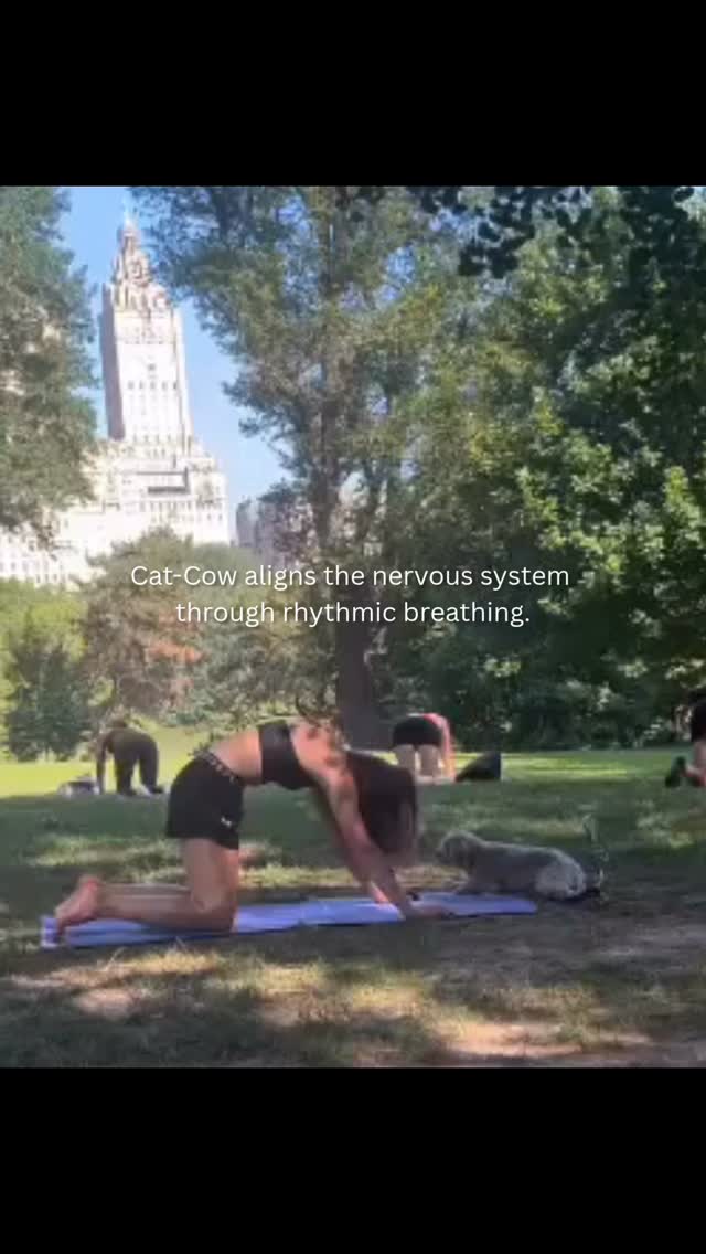 Moving through the flow of Cat-Cow is a gentle way to bridge the gap between your body and your mind. By syncing each arch and round with your breath, you create a moving meditation that helps quiet a racing internal dialogue. This rhythmic movement stimulates the nervous system to shift from stress into a state of much-needed calm and grounding. It’s a simple, powerful tool for releasing the physical tension we often carry during seasons of emotional weight. May is Mental Health Awareness Month, follow for more tips & tricks.