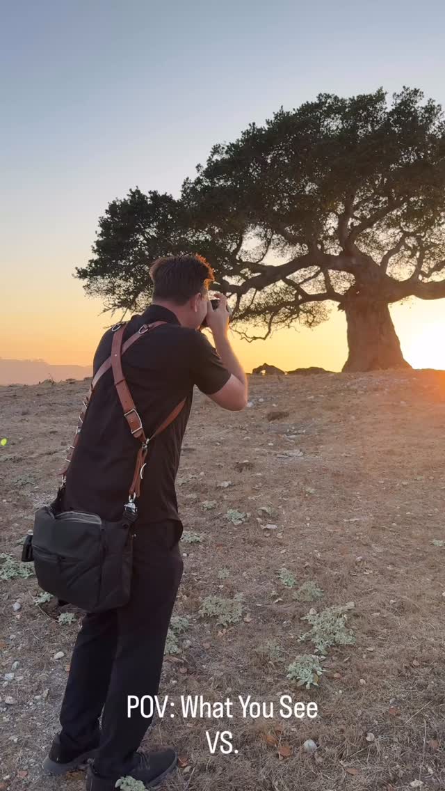 What you see vs. What I see. 📸
Get you a photographer that thinks outside the box. 📸
Anyone can buy a camera. A newer photographer still learning the buttons might be cheaper… but hiring an experienced photographer who can walk into any situation, adapt to the light, think creatively on the spot, and create something unique in real time? That’s priceless.
The moments only happen once. Experience matters.
Photo: @burlapandoakphoto
Venue: @spreafico_farms
Floral: @lori_boe_floral
Makeup Artist: @jennehyyymua
Hair: @gyh_hair
Bartending: @servin_bartending
DJ: @djfeely
Catering: Alberto De Leon
Rentals: @slopartyrentals
Cake: @royal_deli_bakery
Dress: @flaresbridal
2nd Photo: @jeffreysanjuanphotography
#SpreaficoFarmsWedding #SanLuisObispoWedding #CaliforniaWeddingPhotographer