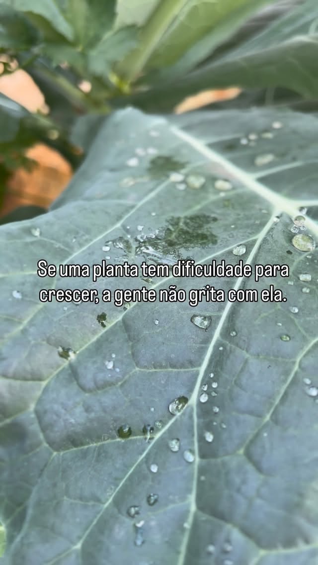Tem coisas que parecem simples… até a gente olhar com mais atenção.
Quando uma criança não corresponde ao que se espera, é comum tentar corrigir, acelerar, ajustar.
Mas desenvolvimento não nasce da pressão.
Nasce do ambiente.
Do tempo respeitado.
Da escuta verdadeira.
Do cuidado que sustenta, sem apressar.
Aqui, a gente acredita que crescer é um processo vivo.
E que cada criança floresce no seu tempo, quando encontra o espaço certo para ser.
🌿
