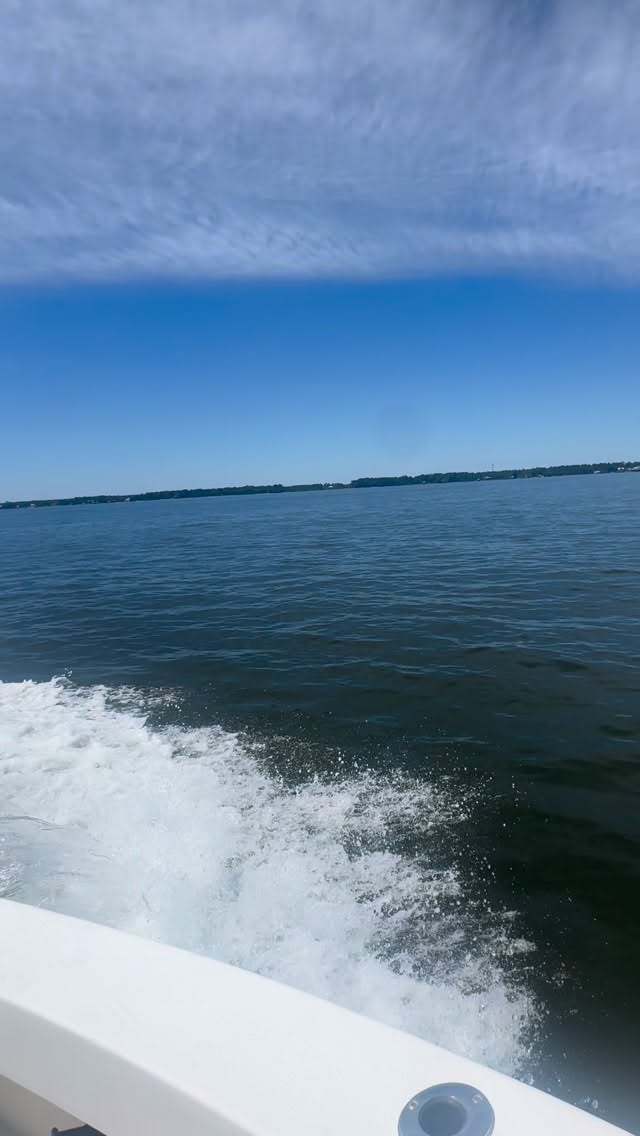 Bone voyage 🦴🚤
#boatdog #captain #30a #weekend #goldenretriever