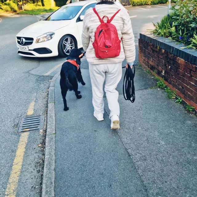 We saw beautiful things tonight #mantrailing in #wilmslow ... 2 lovely partnerships taking on the Dog Trailing Real-World Double-Blind Challenge.
Both teams kicked off with the Novice Double-Blind and after successfully completing that, Team Raven (not competitive at all) increased the challenge. Successful completion meant one choice for Team Misty who accepted and matched the challenge. At the end of another successful trail the scores were level... a perfect evening!
What the teams really learnt were important lessons of trust... there's no instructor influence meaning it's just handler and dog in partnership.
Great work by both Teams Raven and Misty.
So, what is a Dog Trailing Real-World Double-Blind Challenge?
Each team can decide their own challenge. The harder the trail, the more points are up for grabs. Fail though, and all those points are lost!
Who will win the most points at the next Dog Trailing Real-World Double-Blind Challenge next month?
Check availability if you want to be on it at www.dogtrailing.co.uk/book
