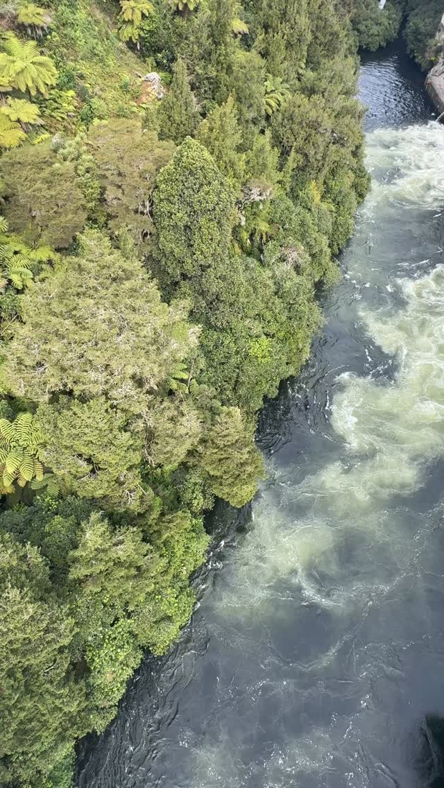 The power of water! The Arapuni Swing Bridge is a historic 152-meter-long suspension bridge crossing a scenic, high-sided gorge on the Waikato River, located just downstream from the Arapuni Power Station. Built in the 1920s for construction access, it stands 54 meters above the water, providing dramatic views of the dam and river as part of the Waikato River Trails