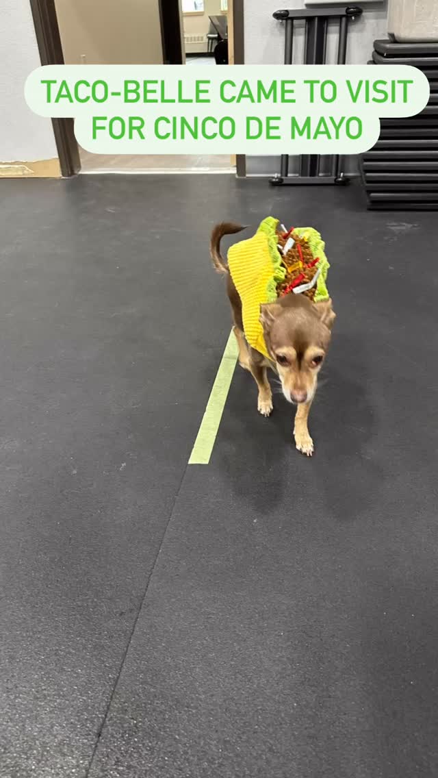#gymdog #tailormade4me #oldladygains @tailor_made_alaska @drsaraaleksandra