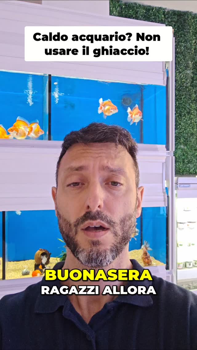 Con il caldo estivo la temperatura dell’acquario marino e dolce può diventare un problema serio ⚠️🌡️
Quando l’acqua supera certi valori, i coralli, piante e pesci soffrono, cala l’ossigeno e tutto il sistema diventa più instabile.
In questo video ti spiego: ✅ perché bisogna abbassare la temperatura ✅ quali rischi ci sono per pesci e coralli ✅ come mantenere stabile un reef aquarium in estate
🔗 www.reef-aquarium.it
#AcquarioMarino #ReefAquarium #Coralli #AcquarioDiBarriera