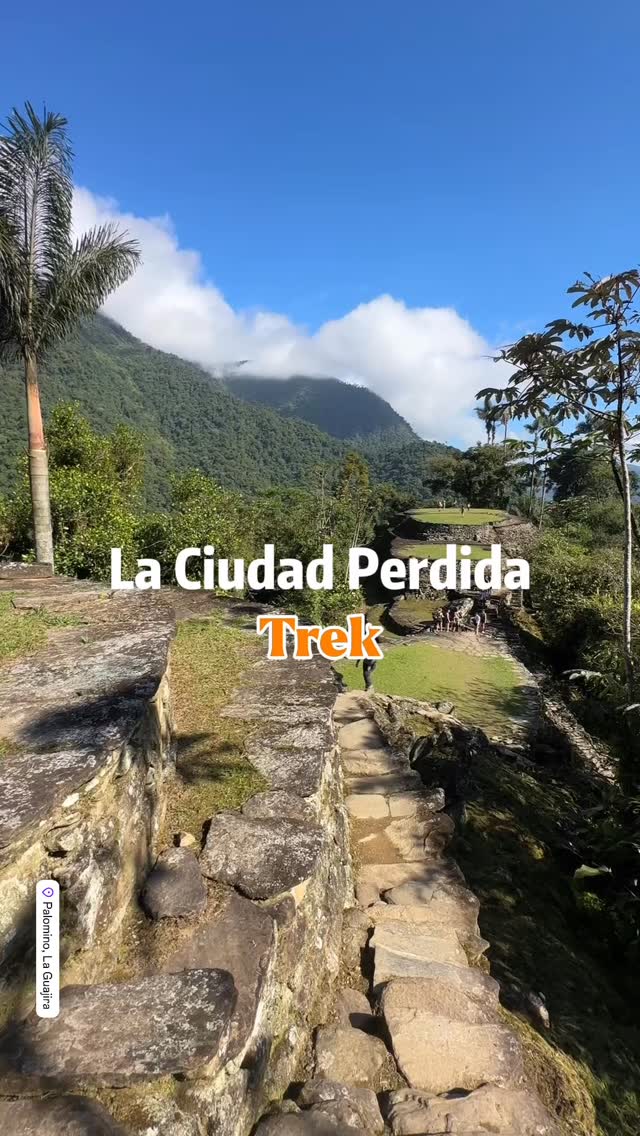 🥾🍀La Ciudad Perdida Trek
🥾🍀The lost city trek
#laciudadperdida #thelostcitytrek #palominoguajira #hikescolombia #senderismo