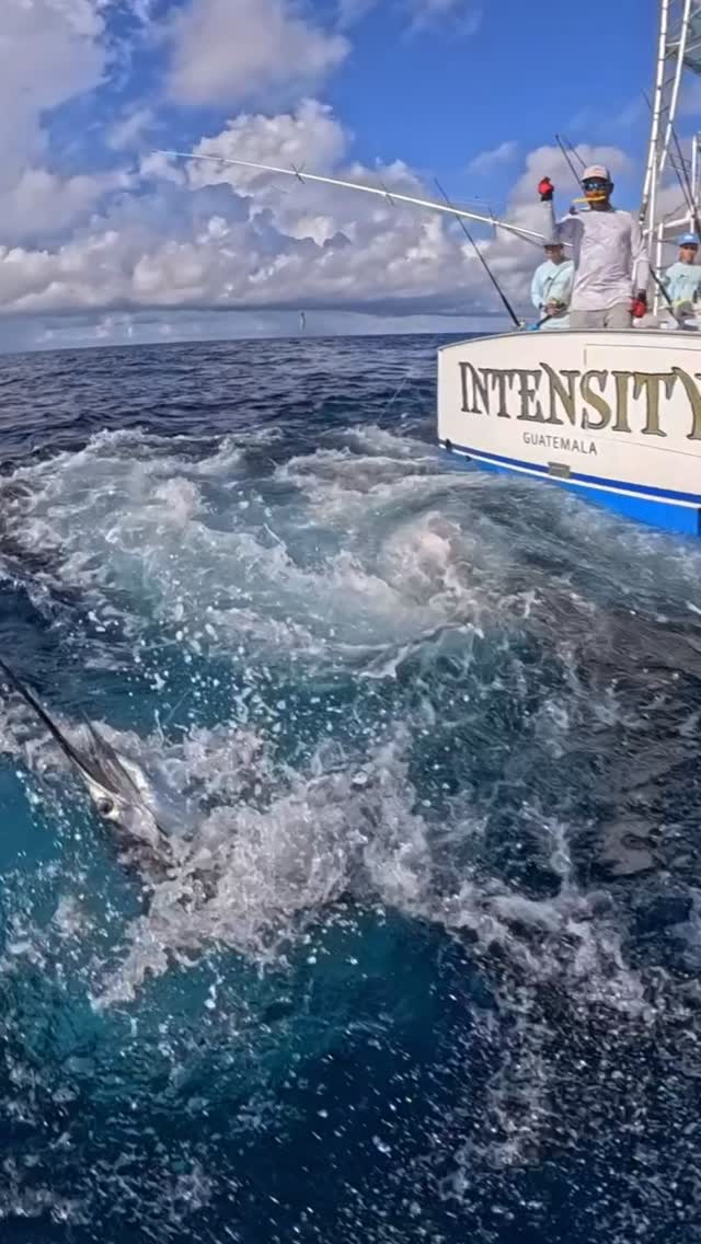 We have availability in June. Fish w/ INTENSITY!!!