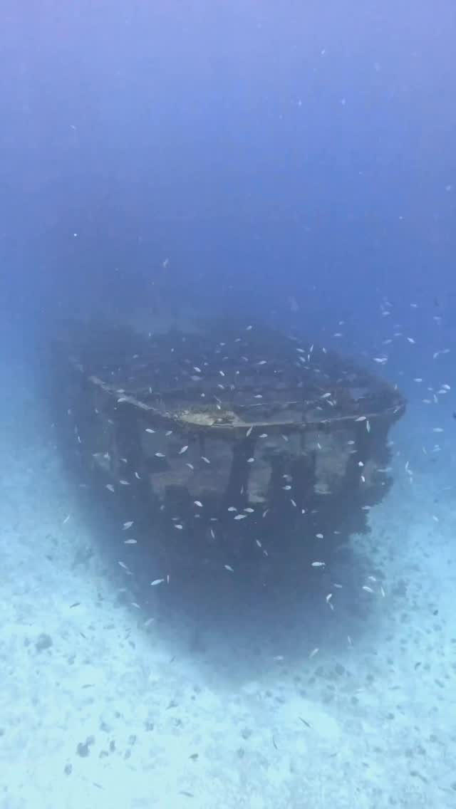 The most famous Cozumel toilet 🚽💩
#cozumeldiving #wreckdiving #c53