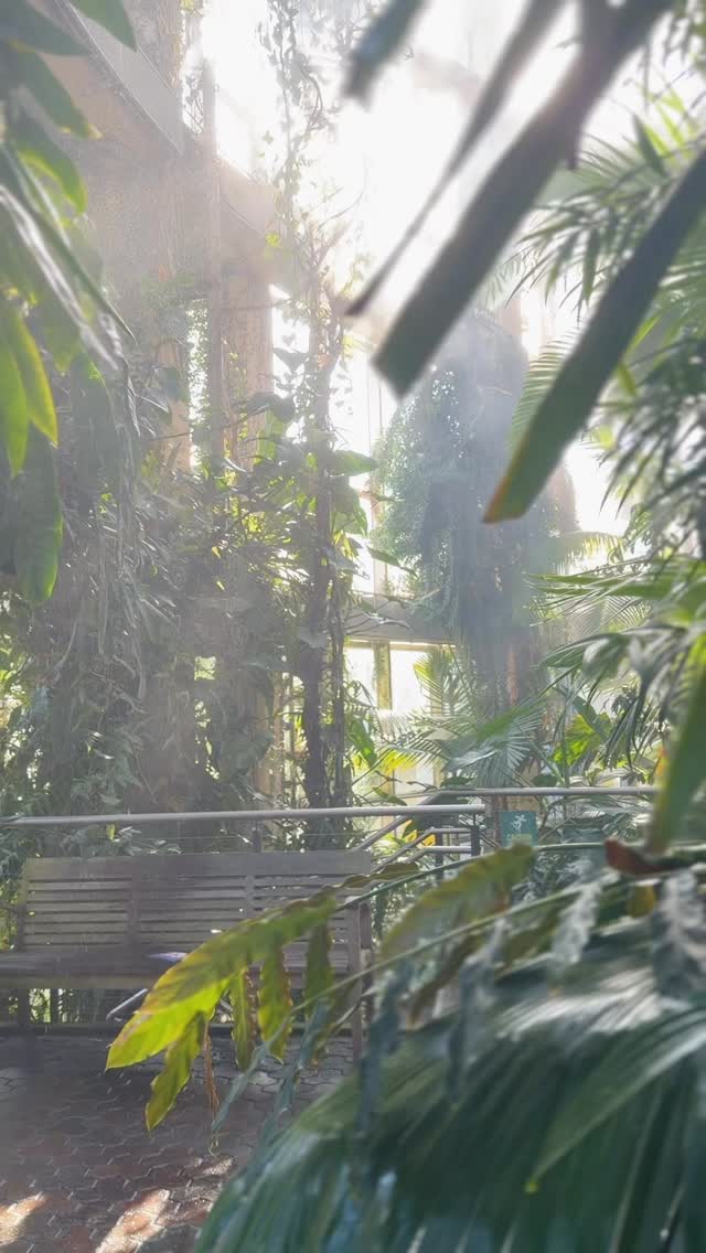 ATLANTA!! Oh my goddess I love you. Your botanical gardens were DIVINE 💧🌺 🤤