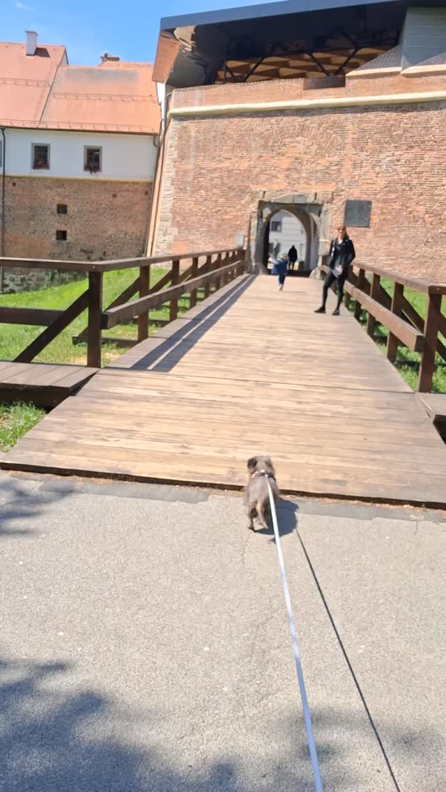 Off to lunch in a castle 🏰🤴👸🤴🐕 #castle#croatia#starigrad#čakovec