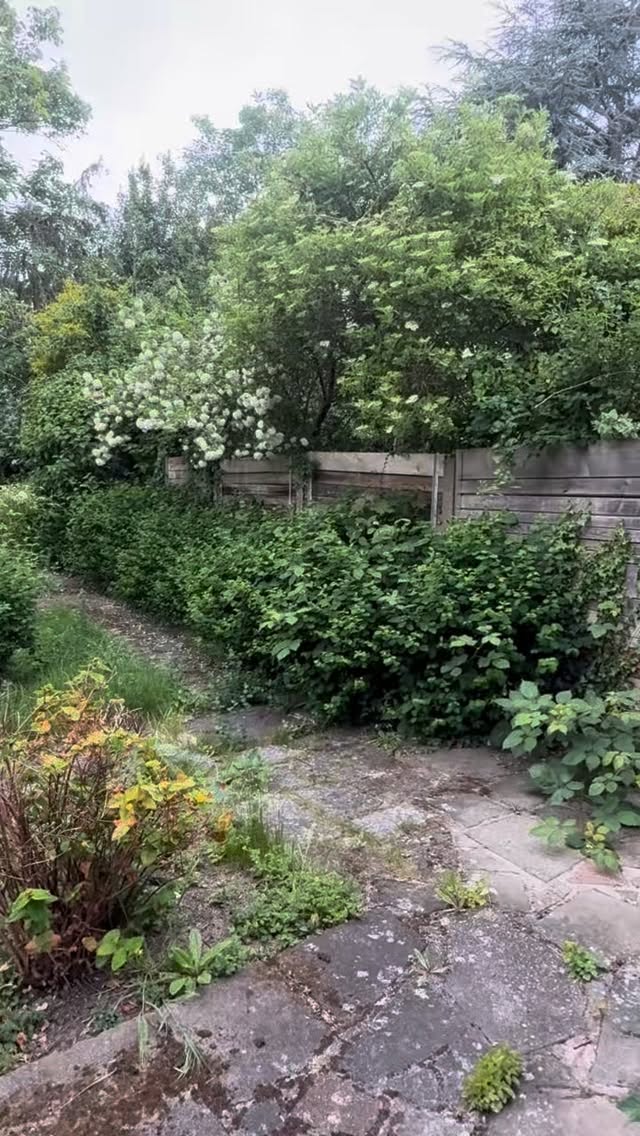 2.5 hours - 2 men, full overhaul!
#gardening #garden #fyp #nature #plants