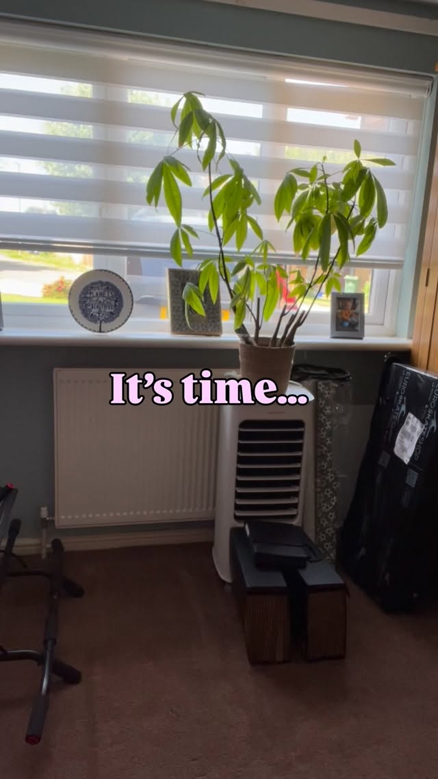 🥵Being a PT during a heat wave🫠
Is there a tougher job during a heat wave?!!
Suggestions in the comments 👇🏼