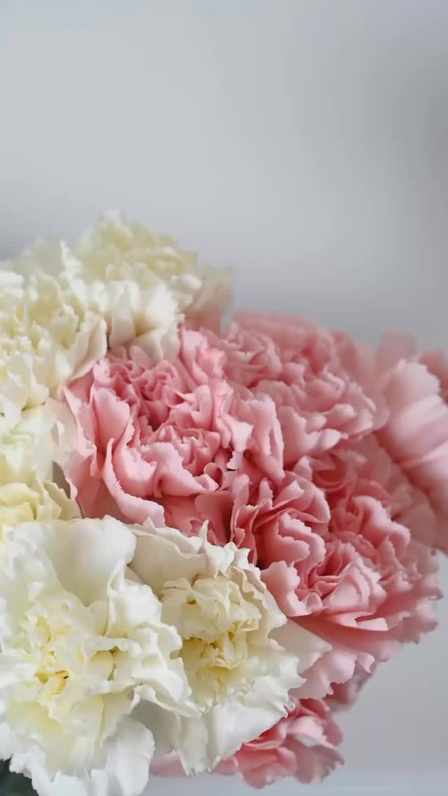 Celebrating all the beautiful moms who make life’s sweetest moments even more meaningful! Happy Mother’s Day from all of us at Diane’s Formal Affair 💐🤍