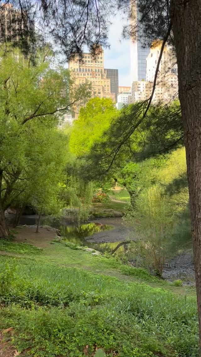 I love an early morning walk through Central Park. A crisp, fresh day with music in my ear and visually beautiful. Walk & Worship.