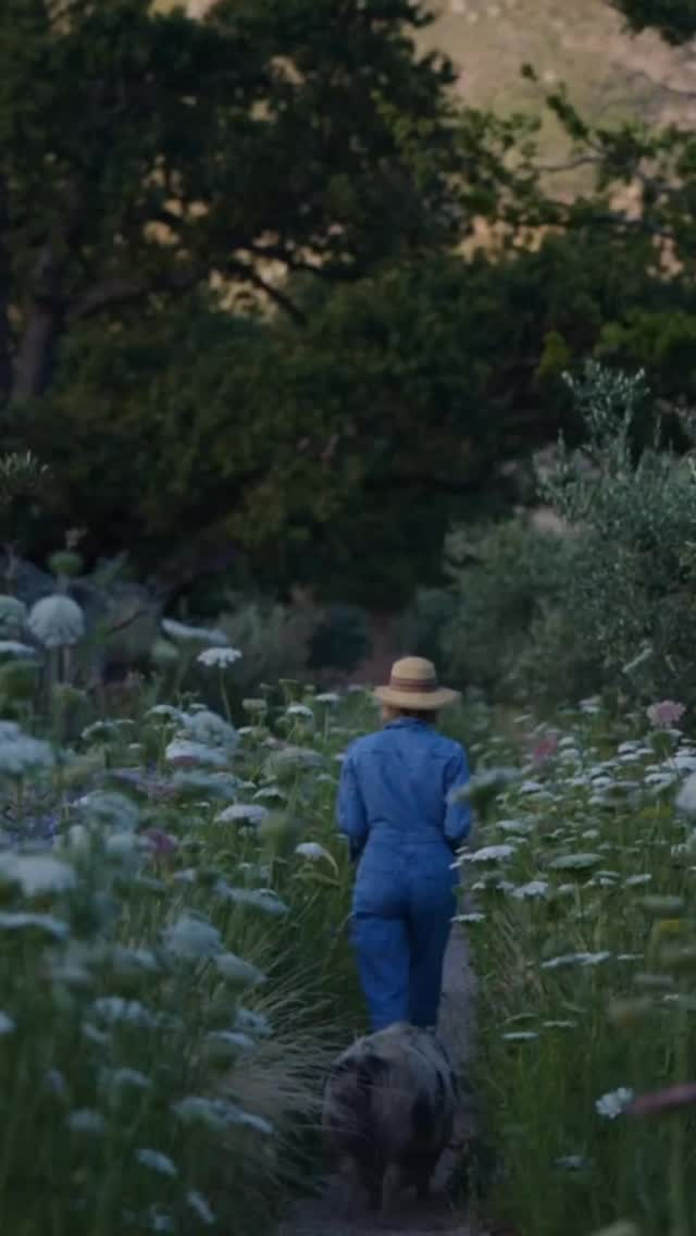 Not a hotel.
A place that quietly brings you back to yourself.
Sterrekopje Healing Farm
South Africa.
Your travel curator at UNIQUELUXURY.TRAVEL will thoughtfully prepare every detail — so you can simply be with yourself.
—
UNIQUELUXURY.TRAVEL
Video: @sterrekopjefarm