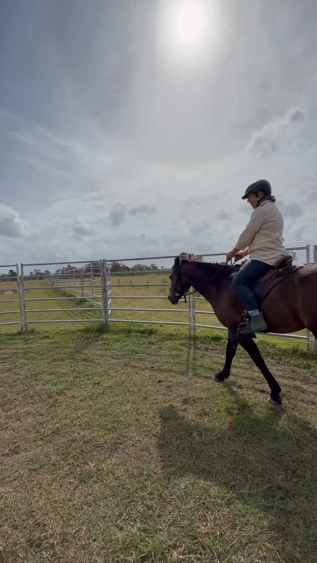 Day 4 young horse starting clinic and we have 2nd and 3rd ride happening for Brave the young filly and her mumma 😍 along with little baby Beau having his first trots being ridden from the ground and trail riding on the long reins out and about 🤩 love seeing the progress these teams have made over such a short amount of time!
#horseswithholly #horsemanship #horsetraining #horselover #coltstarting