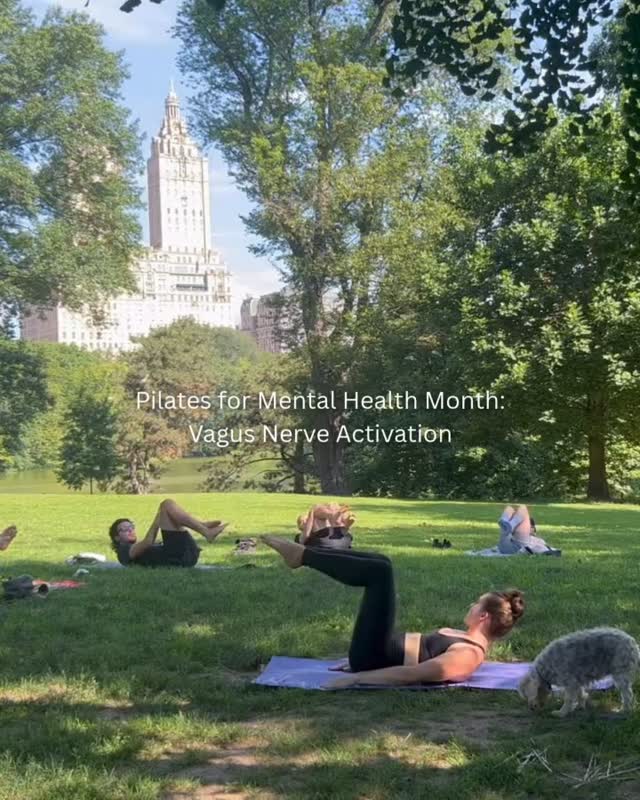 Your breath is a direct remote control for your nervous system, especially when paired with the intentional movement of Pilates. By practicing deep, lateral ribcage breathing, you stimulate the vagus nerve to signal your brain that it is safe to relax. This rhythmic flow helps shift your body out of a high-stress “fight or flight” state and into a restorative “rest and digest” mode. It’s more than just a workout; it’s a physical reset that brings your mind back into a state of calm balance.
#centralparkpilates #pilates #thingstodoinnyc #nycfitness #upperwestside