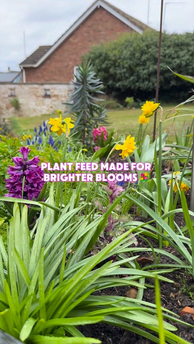 Our plant gains beds and borders is designed to support steady growth, healthy foliage and long-lasting flowering, it provides reliable nutrition throughout the growing season.
It can be applied every four to six weeks during the growing season. Simply sprinkle evenly around plants and lightly water in to activate the feed. Over time, plants become stronger, more resilient and better equipped to cope with weather stress and variable soil conditions.
Plant care | flowers | gardening | garden | garden