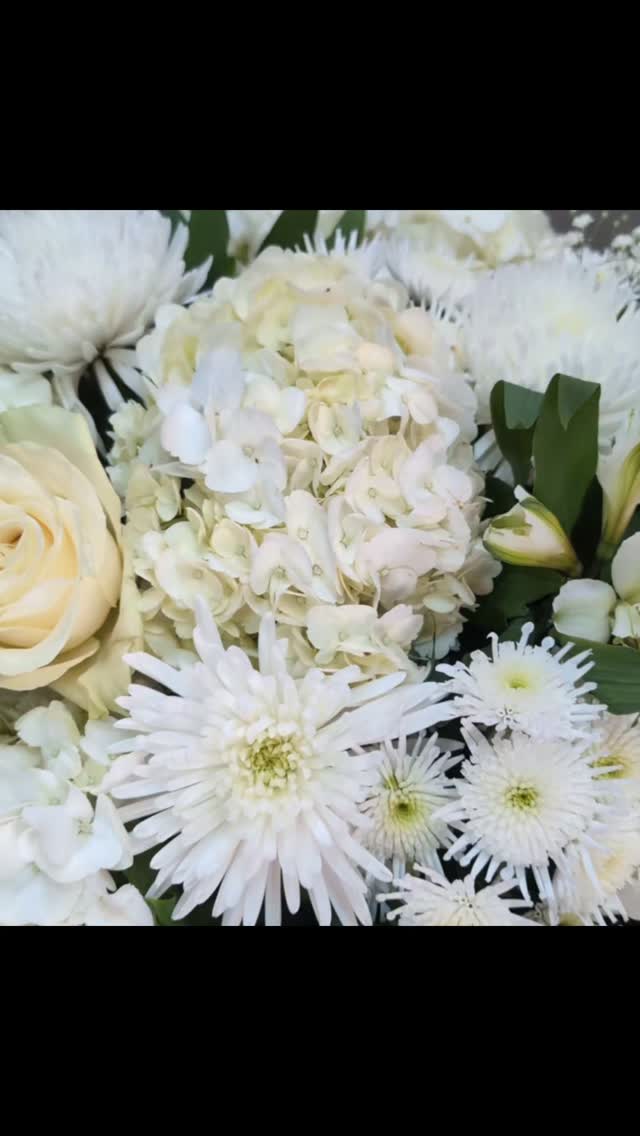 Dans la douceur des tons blancs, ce coussin funéraire rend un dernier hommage empreint de paix, de pureté et de tendresse. 🤍
Chaque fleur a été choisie avec soin pour accompagner les familles dans ces instants si précieux et délicats.
#Deuil #CoussinFuneraire #FleuristeNice #Hommage #FleursBlanches