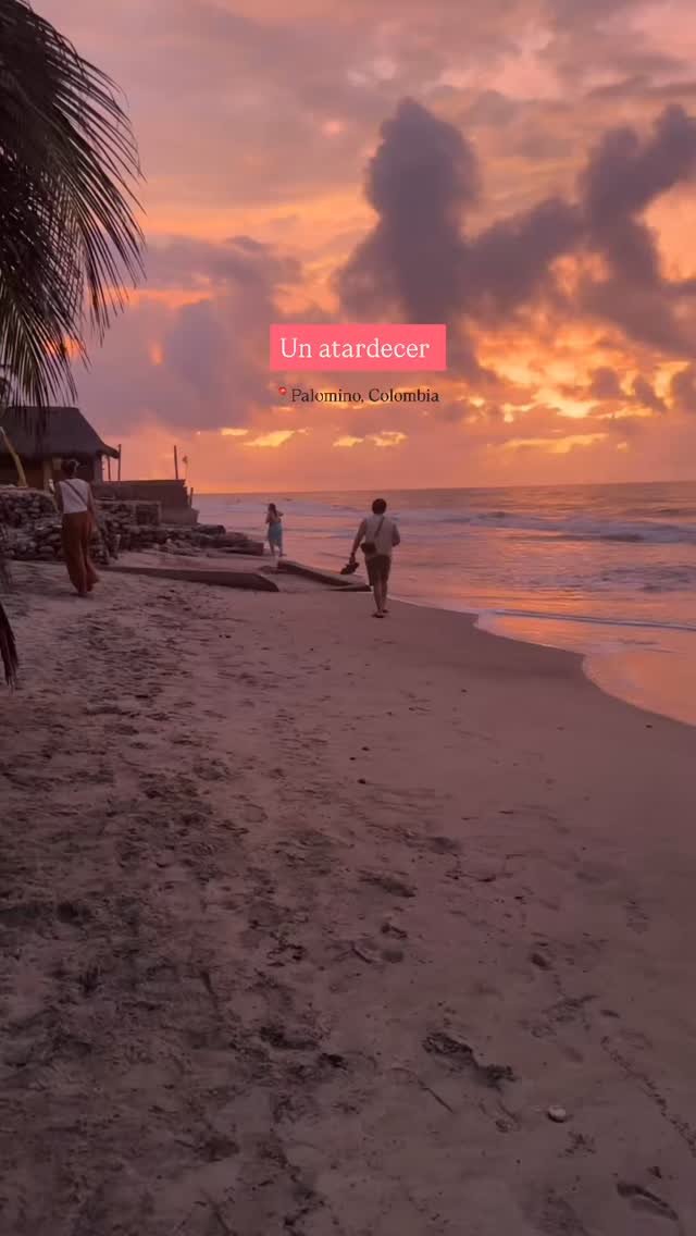 🌅Un atardecer
#palominoguajira #atardecer #cielorosa