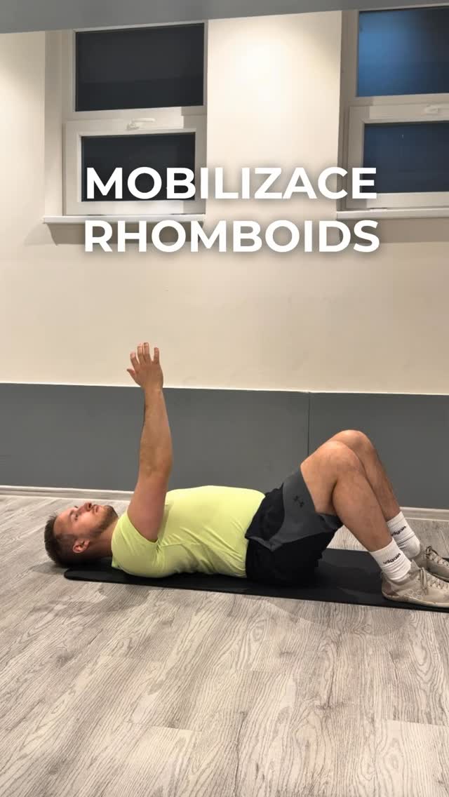 Rhomboidy 💪🏽🛠️ (m. rhomboideus major a minor) jsou svaly mezi lopatkami a páteří. Jejich hlavní funkcí je přitahování lopatek k páteři, jejich lehké zvednutí a stabilizace.
👉🏽 Rhomboideus minor leží výše a vede od trnových výběžků C7–T1 k vnitřní části lopatkové páteře.
👉🏽 Rhomboideus major začíná na T2–T5 a upíná se na vnitřní okraj lopatky.
💁🏽♂️ Oba svaly jsou inervovány dorsální scapulární nervem (C5).
Bolest nebo „zatuhlost“ mezi lopatkami často nevzniká jen samotným svalem. Rhomboidy bývají častým myofasciálním zdrojem bolestí střední části zad, a právě proto může cílená práce s měkkými tkáněmi přinést výraznou úlevu.
➡️ Důležité ale je, že bolest v této oblasti často souvisí i s hrudní páteří, žebry nebo může být přenesená z krční páteře, jak mi již dlouhodobě ukazuje tréninková praxe. 💪🏽
Pokud se tedy bolest neustále vrací a masáž nebo uvolnění pomůže jen krátkodobě, problém nemusí být přímo v rhomboidech.
Často je potřeba řešit:
- mobilitu hrudní páteře,
- postavení žeber,
- dechový stereotyp,
- kontrolu lopatek,
- přetížení z dlouhého sezení nebo stresu.
Tělo funguje jako celek. Místo bolesti často není skutečný zdroj problému. Chce to diagnostiku a hlubší porozumění celému problému. Tento cvik ale často pomůže a je velmi efektivní, vyzkoušej ho a dej mi vědět. 🤗💪🏽
Honza
#brotasfitness #bolest #prace #pohyb #physio