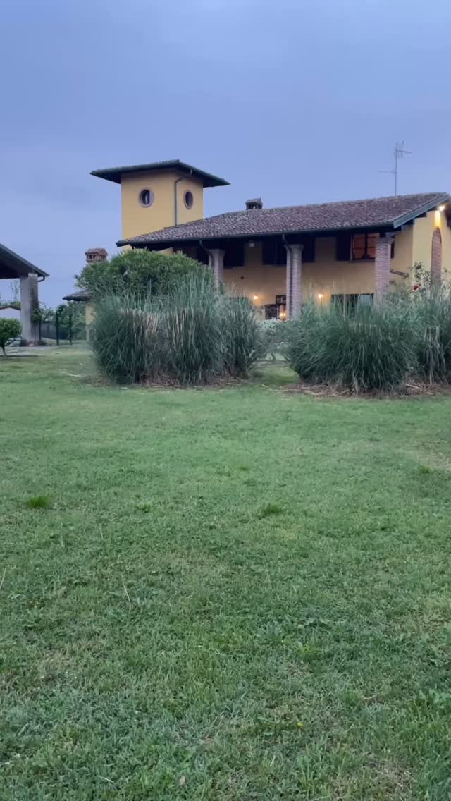 Barboncino media mole 2 mesi e mezzo, libero, richiamo non in vista…😎🔝#leondorofamily #iovivoconicani #lavoroconicani #educazionecinofila