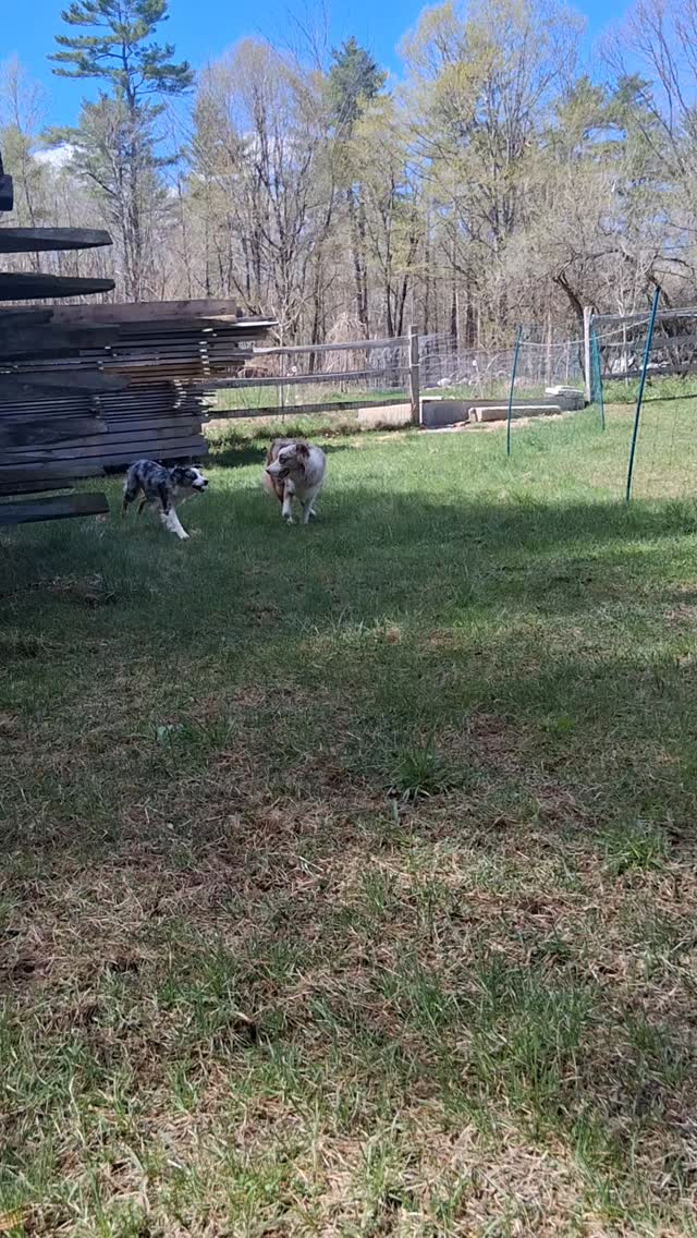 These two 💕💕