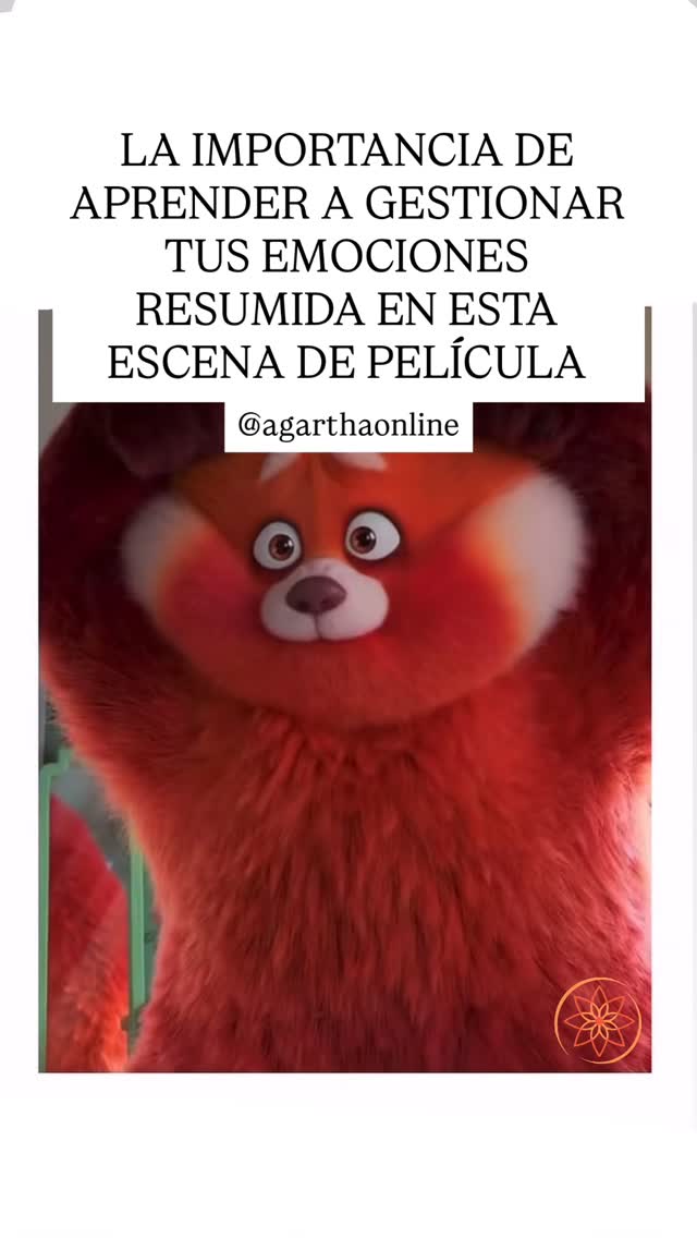 A veces creemos que “perder el control” es un fallo… pero en realidad es una señal. 🐼✨
Tu cuerpo solo amplifica lo que tu corazón lleva tiempo pidiendo que escuches.
Aprender a regular tus emociones no es reprimirte:
es liderarte.
Es dejar de reaccionar desde tus heridas y empezar a responder desde tu conciencia.
Porque cuando sanas, ya no te conviertes en ese “panda rojo” que explota para protegerse…
te conviertes en quien finalmente puede sostenerse.
Y en ese proceso, todos y todas pasamos por lo mismo: momentos en los que sentimos demasiado, reaccionamos antes de pensar o nos cuesta entender lo que nos está pasando por dentro.
Pero no se trata de hacerlo perfecto.
Se trata de hacerlo más consciente.
De parar un segundo antes de reaccionar.
De preguntarte qué hay detrás de lo que sientes.
De aprender a acompañarte en lugar de juzgarte.
Porque cada emoción tiene un mensaje…
y aprender a escucharlo cambia la forma en la que te relacionas contigo mismo y contigo misma. 🤍
#energíapositiva #inteligenciaemocional #gestionemocional #emociones #crecimientopersonal