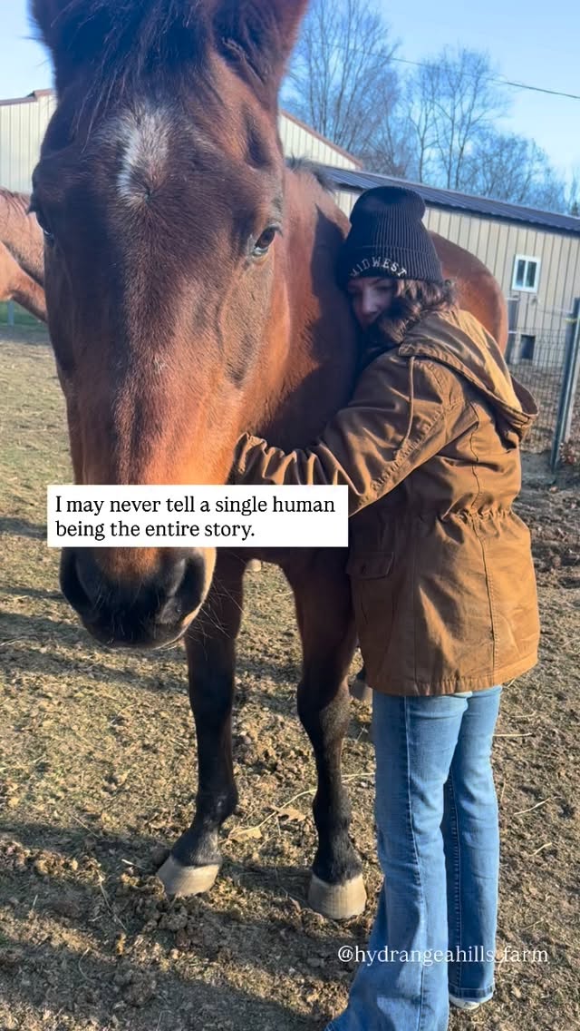 I may have just met you last year.
And you weren’t mine for 30 years.
But you helped heal pieces of me that I refused to look at.
You were solid and you were soft.
You were safe and you were sturdy.
You met me at the gate almost every day whether I had grain or not.
When the vet came out to give you your wings—you ran to me in the paddock.
And as he stood behind me next to my husband he quietly said, “that’s a bond I love to see. You’ve got a good friend right there.”
A piece of my heart chipped off and you were quick to scoop it up and carry it with you.
I’m not saying you carried it to glory—but I’m sure thankful that God goodness touched this earth on the day you were born sweet boy.
He knew we needed each other. And though I couldn’t get you to 30—we sure got dang close old man.
I’ll love you forever.
My heart horse you’ll be.
Rest easy Bae. You are missed tenderly—but I’m so thankful you gave me all the healing and rides you could before you had to go.
5/14/96-4/10/26❤️🩹🕊️