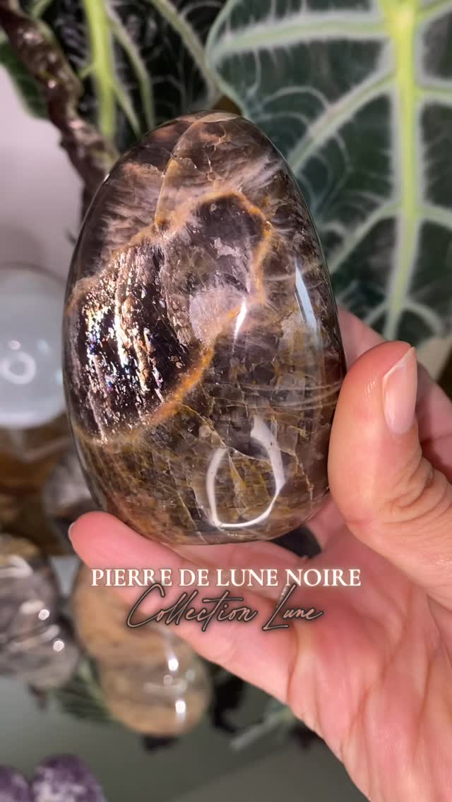 😌Quel plaisir de vous présenter ces pierres de lune notamment les noires, vous avez vu ces reflets ???🤩
🌙Cette sélection, je l’ai faite pour la collection Lune, des pierres dédiées à son énergie cyclique, son énergie « féminine » intime, son rapport à la famille et à notre environnement 🌱
🙌🏼La pierre de lune noire se connecte à tout ces énergies lunaires évidemment. Je vous en parlerai plus longuement dans un prochain post sur ces vertus.
🤳Les Ventes Live sont prévues ce week-end 😉
En attendant, je continuerai de vous présenter les pépites de cette table que j’aime vraiment beaucoup trop 😅🩷
Spirituellement,
Emeline 🌈🌙🙌🏼