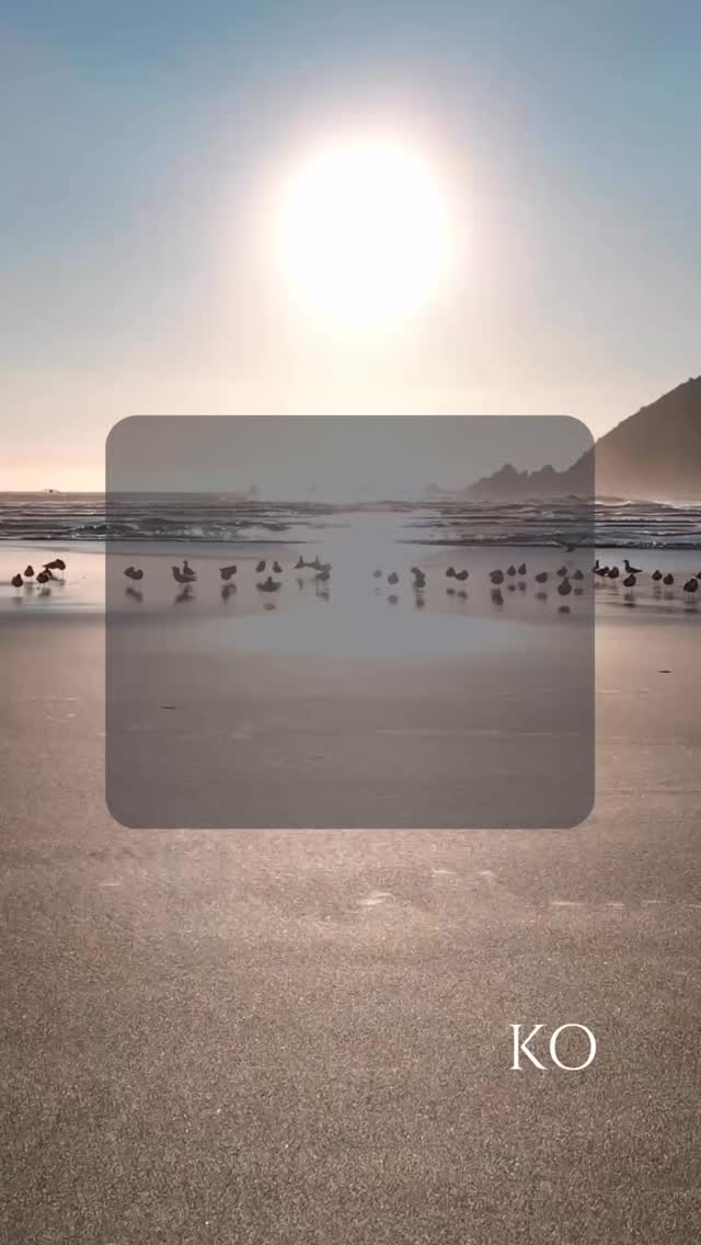 My son @tommasoden sent me this version of “His Eye Is on the Sparrow” by Jason Mraz about a week ago, and I’ve had it on repeat ever since.
This morning, I found myself thinking about the ones who feel unseen… forgotten… overlooked.
So if this is where your heart stands this morning, this is for you. 🫶🏼
To the one who feels unseen…
The enemy whispers: “You’ve been overlooked.”
But God declares:
“I’ve never taken My eyes off you.”
In the quiet obedience.
In the hidden faithfulness.
Nothing about your life is invisible to Him.
If His eye is on the sparrow…
then He is definitely watching over you. 🫶🏼
— Matthew 10:29–31
#ChristianReels
#FaithOverFear
#GodSeesYou
#ChristianEncouragement
#ChristianInspiratio