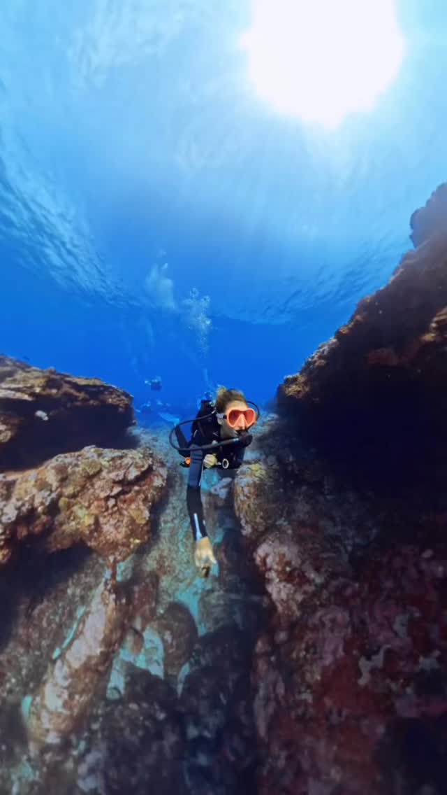 Plongée magique à la passe de l’Ermitage ✨
Direction les 20 mètres pour explorer un véritable labyrinthe sous-marin
Entre grottes, arches naturelles et failles volcaniques, le site nous a offert un décor spectaculaire… sublimé par une visibilité incroyable ce jour-là 😍
Des jeux de lumière à couper le souffle, des poissons partout et cette sensation unique de voler dans le bleu 💙
📍Passe de l’Ermitage – La Réunion
🤿 Une plongée dont on se souviendra longtemps !
#PlongéeRéunion #PasseDeLErmitage #ScubaDiving #LaReunionIsland #OceanLovers UnderwaterWorld DiveLife PlongeeSousMarine ReunionIsland ExploreTheBlue