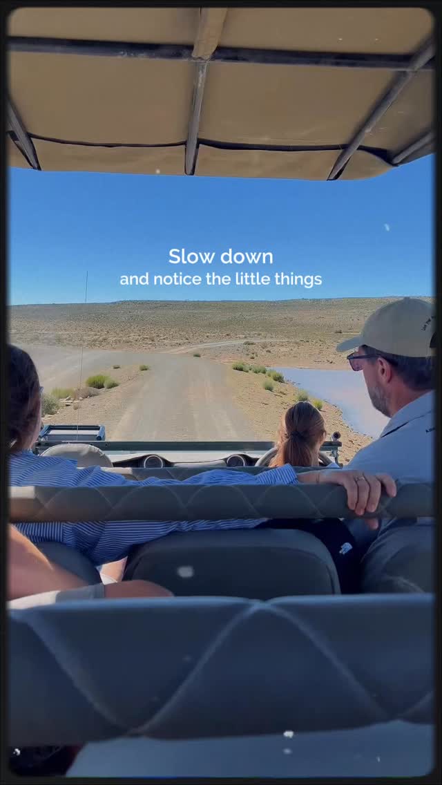 Some of the best moments here happen in between.
A nature drive at Rogge Cloof isn’t rushed, it’s about taking it slow, noticing the little things, watching the land change, and discovering what’s been there all along.
On the way to get an up close look at our Permian era Fossil field you might spot Springbok or Zebra moving across the plains, a bird of prey overhead, discover interesting plants or something a little more unexpected.
Hop on with one of our guides and see a different side of the reserve.
What would make your nature drive unforgettable?
#luxuryecotravel #darkskyreserve #travelsouthafrica #karoo #karoolife
karooaccommodation hikingadventures hikingsouthafrica cheetahconservation cheetah sustainabletravel stargazing astrophotography sutherland astronomylover wideopenspaces natureescape nightphotography nightsky astronomy