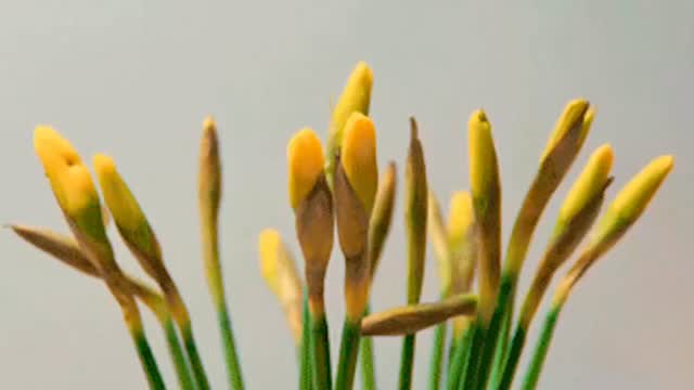 ZIN.
Relatietheater over verlangen.
Op zondag 31 mei gaat ZIN in première bij @ophodenpijl in Schipluiden.
Een interactieve theateravond over verlangen, verschil in libido, intimiteit en alles wat daar tussenin gebeurt.
Over zin hebben.
Zin maken.
Zin verliezen.
Geen klassieke voorstelling.
Geen droge theorie.
Maar een avond vanuit ervaringskennis, herkenning en echte gesprekken.
Er is ruimte om vragen te stellen of zelf iets te delen,
maar niets hoeft.
Je mag ook gewoon luisteren.
Voelen.
Herkennen.
Nieuwsgierig?
Tickets via de link in bio
of comment ZIN, dan sturen we je alle informatie in een DM.
#relatietheater #verlangen #intimiteit #relaties #seksualiteit