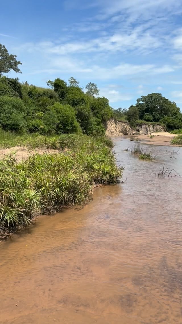 Porini Camp is a private fly camp in the heart of nyerere national park.
Nestled at the beho beho river, our camp reimagines the classic safari, returning to its roots while offering prescription, care, and exceptional hospitality.
#nyererenationalpark